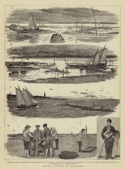 Oyster Culture at Arcachon by Joseph Nash